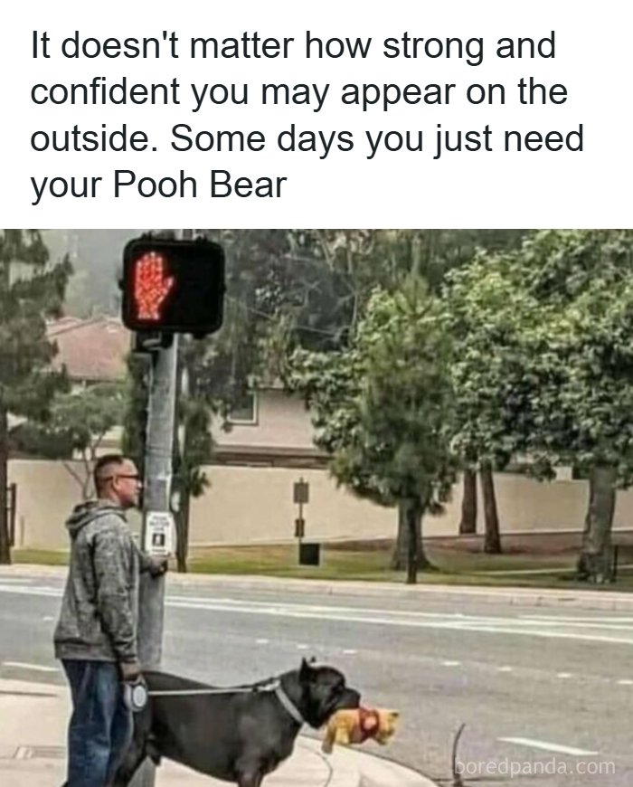 Man standing at a crosswalk with a dog holding a Pooh Bear toy, showcasing humor to handle reality with memes.