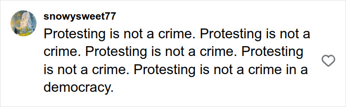 User social media comment stating protesting is not a crime, emphasizing views on freedom in a democracy related to Renee Good&rsquo;s wife fatal ICE incident.