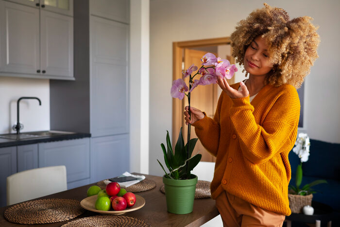 Woman in cozy sweater tending to orchid at home, illustrating rich people norms and lifestyle insights from the 1% world.