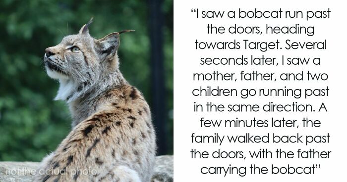 “I’ll Never Forget That One”: 58 Times Security Guards Saw Such Weird Camera Footage, They Had To Replay It