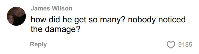 Comment on a post questioning how damage went unnoticed linked to skull in man's car leading to a chilling house discovery.