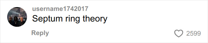 Comment on social media post with username1742017 discussing septum ring theory, receiving 2599 likes.