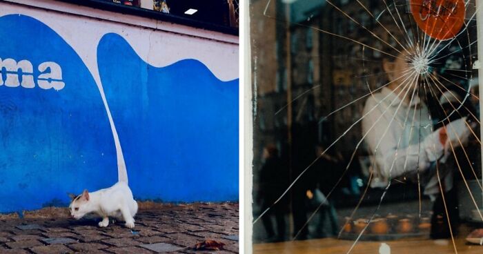 35 Street Photos That Prove Timing Is Everything, As Shared On This Instagram Page