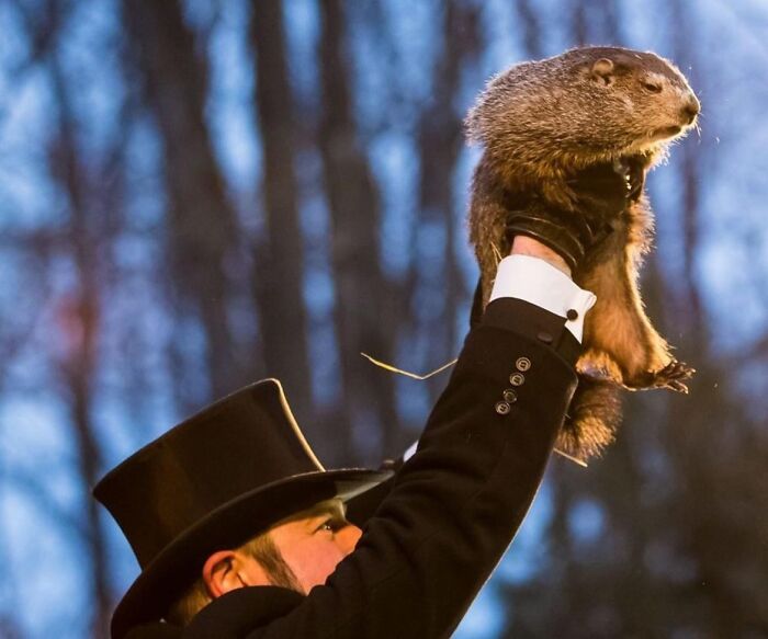 Man in top hat holding groundhog during a strange tradition associated with weird traditions from around the world.