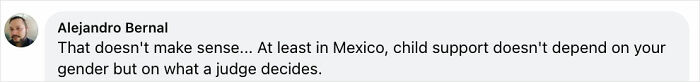 Comment from Alejandro Bernal discussing child support and gender identity in the context of legal decisions.