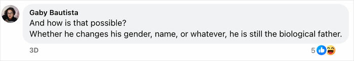Screenshot of a social media comment criticizing a father for changing gender identity to avoid child support.