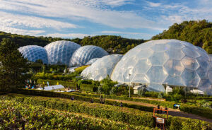 15 Biomimicry Examples That Prove Nature Solves It Best