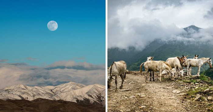 Kufri: The Quieter Side Of Himachal I Fell In Love With