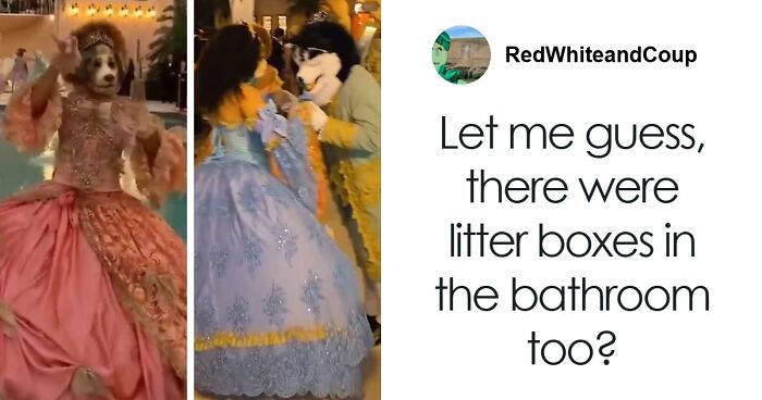 Dad Claims He Did Everything He Could For His Children, But All 5 Of Them Are Failures In His Eyes