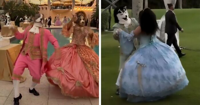 Never-Before-Seen Footage Of Uncontacted Amazonian Tribe Stuns The World, But Many Are Suspicious