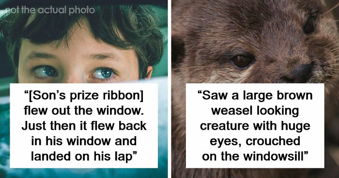 51 True Stories That Sound So Bizarre That Nobody Believes These People