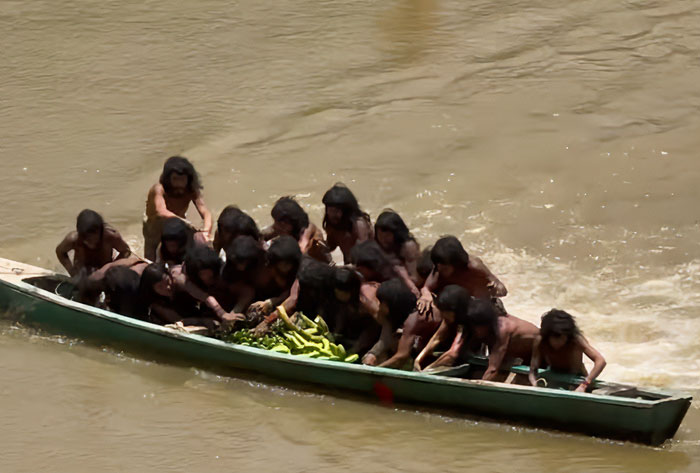Uncontacted Amazonian tribe paddling a wooden canoe loaded with green bananas on a river in remote jungle territory.