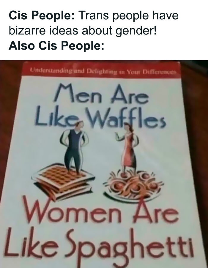 Meme showing gendered nonsense comparing men to waffles and women to spaghetti, highlighting absurd gender stereotypes.