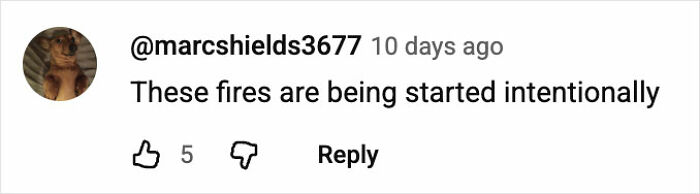 Comment from social media user expressing concern that Chile wildfires are being started intentionally. Comment from social media user expressing concern that Chile wildfires are being started intentionally.