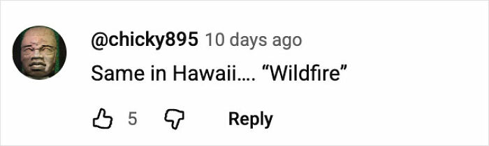 Commenter referencing Hawaii wildfire, expressing similarity to Chile wildfires chaos, with a profile picture of a serious face. Commenter referencing Hawaii wildfire, expressing similarity to Chile wildfires chaos, with a profile picture of a serious face.