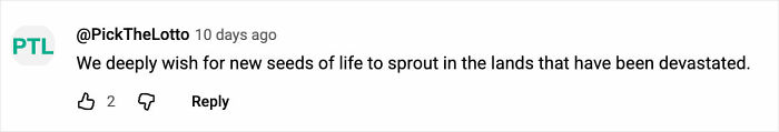 Screenshot of a social media comment expressing hope for new life to grow in lands devastated by Chile wildfires. Screenshot of a social media comment expressing hope for new life to grow in lands devastated by Chile wildfires.