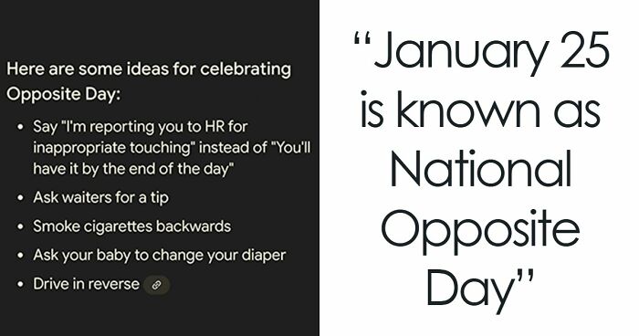 “Wait A Minute”: 57 Unhinged Images That Went From 0 To 100, And It Caught People Off-Guard (New Pics)