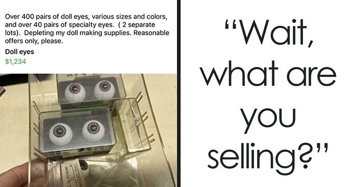 “Wait A Minute”: 57 Unhinged Images That Went From 0 To 100, And It Caught People Off-Guard (New Pics)