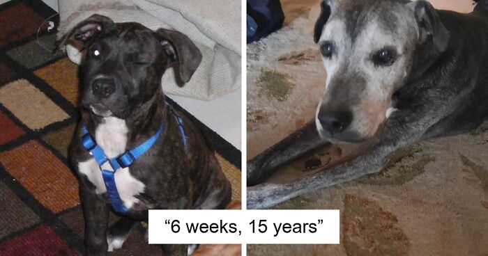 95 Wholesome Photos Capturing People’s Life Journeys And How Much They’ve Changed