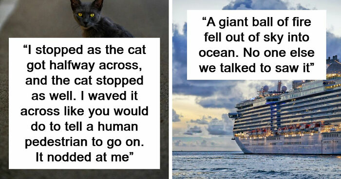 “This Was All At Walmart”: 39 Of The Most Random And Strange Things People Have Witnessed