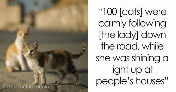 39 Times People Witnessed Something So Weird, They Still Can’t Explain What Happened