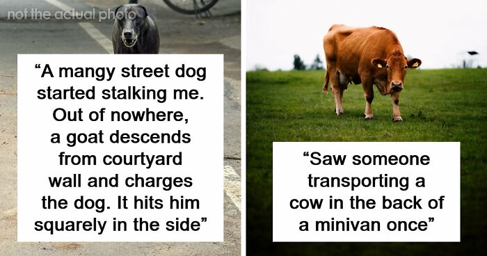 39 Times People Witnessed Something So Weird, They Still Can’t Explain What Happened