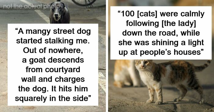 39 Times People Witnessed Something So Weird, They Still Can’t Explain What Happened