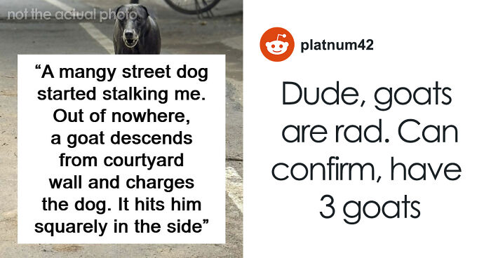 39 Times People Witnessed Something So Weird, They Still Can’t Explain What Happened