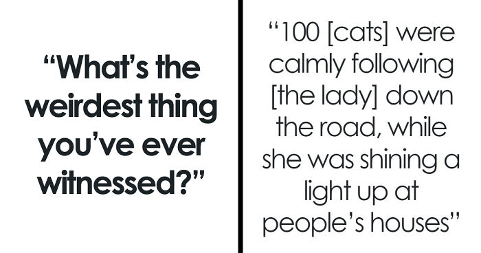 “This Was All At Walmart”: 39 Of The Most Random And Strange Things People Have Witnessed