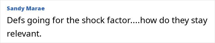 A comment by Sandy Marae discussing the shock factor and relevance in the context of trying too hard by Yungblud.