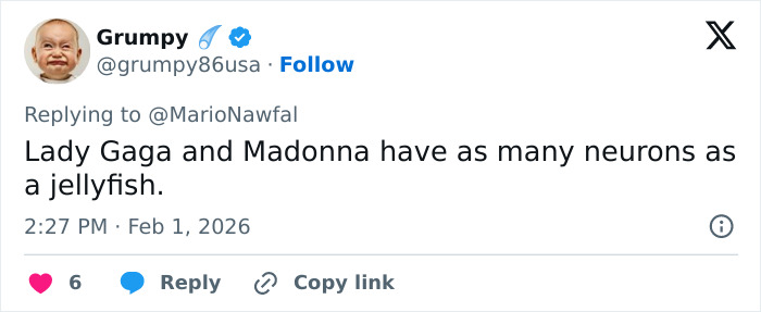 Amid Grammy Performance, Lady Gaga's Ties With Epstein Spark Chatter As New Files Are Released