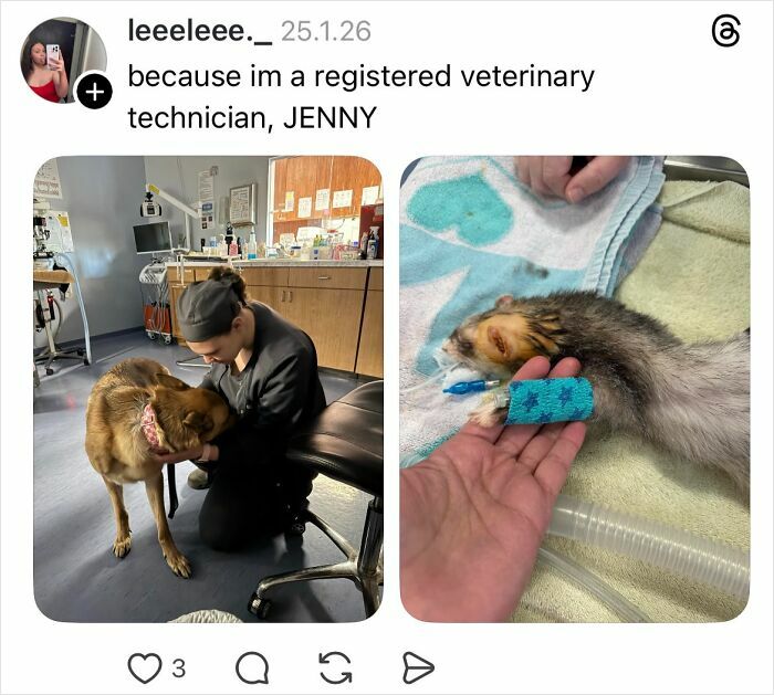 Woman shares savage replies on why girls don’t get their nails done with humorous vet technician response.