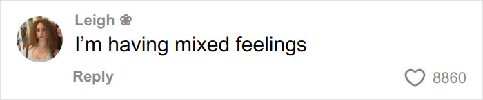 Comment by Leigh reading I'm having mixed feelings, related to Chappell Roan Grammys outfit outrage online.