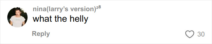 Screenshot of an online comment reacting to Chappell Roan’s Grammys outfit with outrage and disbelief.