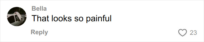 Screenshot of a social media comment reacting to Chappell Roan’s Grammys outfit with outrage and criticism.