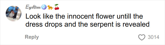 User comment on social media about Chappell Roan’s Grammys outfit, describing it as shocking and revealing.