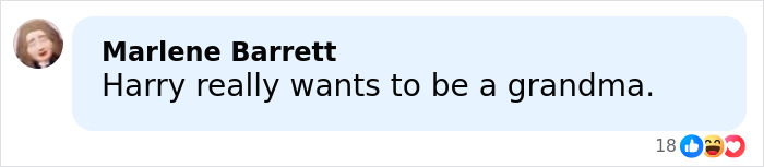 A social media comment mocking Harry Styles' outfit during his on-stage appearance at the 2026 Grammys event. A social media comment mocking Harry Styles' outfit during his on-stage appearance at the 2026 Grammys event.