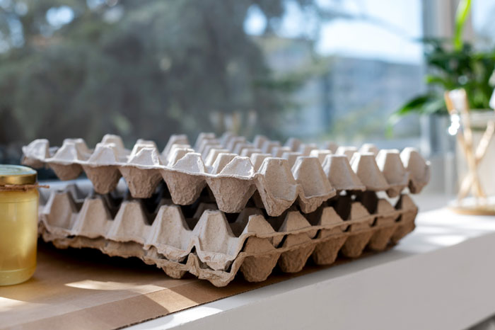 Stack of empty egg cartons used for DIY soundproofing in a home office, emphasizing creative but smelly material choice. Stack of empty egg cartons used for DIY soundproofing in a home office, emphasizing creative but smelly material choice.