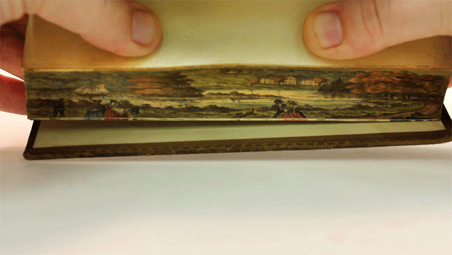 Hidden 19th Century Fore-Edge Paintings Found on the Pages of a Book