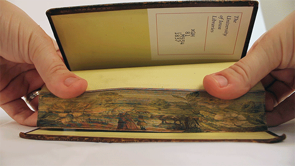 Hidden 19th Century Fore-Edge Paintings Found on the Pages of a Book Hidden 19th Century Fore-Edge Paintings Found on the Pages of a Book