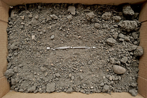 Make Something Cool Every Day Make Something Cool Every Day