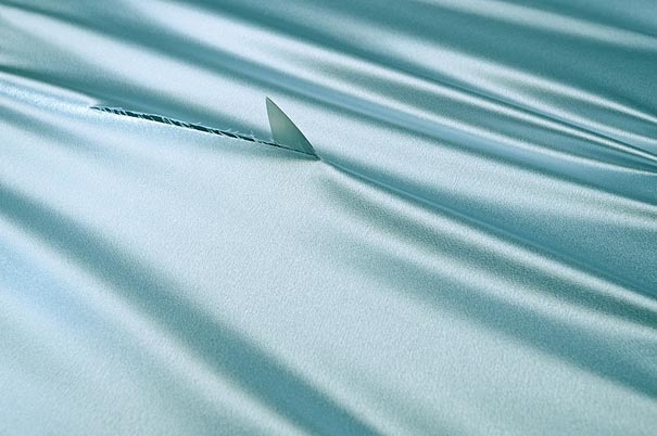 Make Something Cool Every Day Make Something Cool Every Day