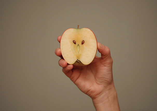 Make Something Cool Every Day Make Something Cool Every Day