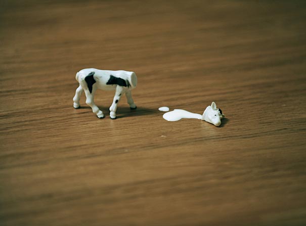 Make Something Cool Every Day Make Something Cool Every Day