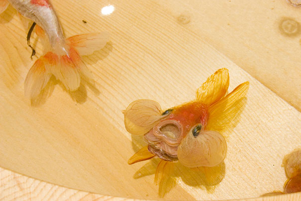 Breathtaking 3D Goldfish Paintings by R. Fukahori Breathtaking 3D Goldfish Paintings by R. Fukahori