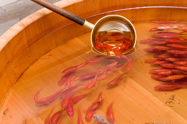 Breathtaking 3D Goldfish Paintings by R. Fukahori