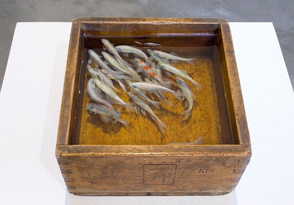 Breathtaking 3D Goldfish Paintings by R. Fukahori Breathtaking 3D Goldfish Paintings by R. Fukahori