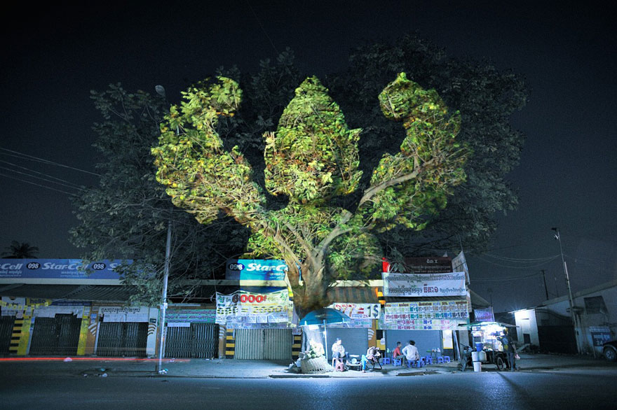 Haunting 3D Projections on Trees by Clement Briend Haunting 3D Projections on Trees by Clement Briend