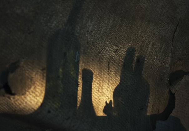 Abandoned House in the Woods Taken Over by Wild Animals Abandoned House in the Woods Taken Over by Wild Animals