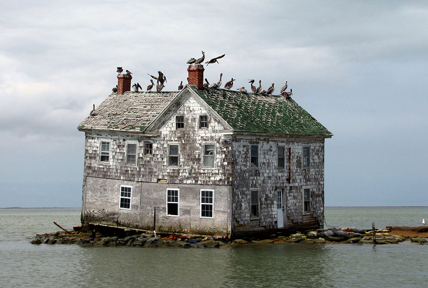 Abandoned building in water filled with birds Abandoned building in water filled with birds